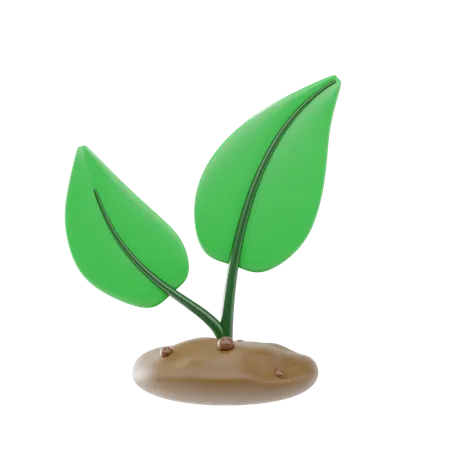Plant Seedling  3D Icon