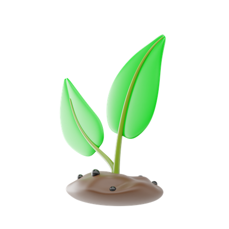 Plant Seedling  3D Icon