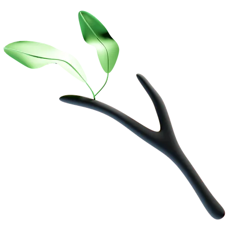 Plant stem  3D Illustration