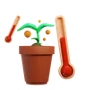 Plant Temperature