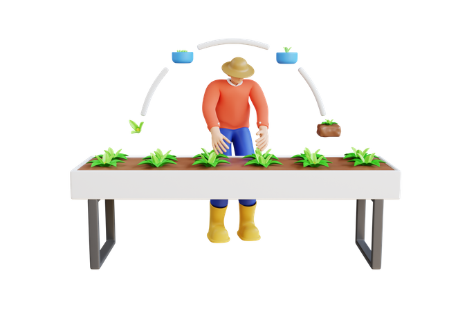 Plant tissue culture process  3D Illustration