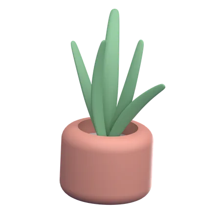 Plant Vase  3D Icon