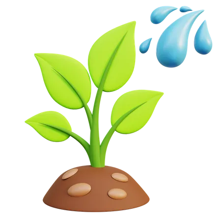 Plant Watering  3D Icon