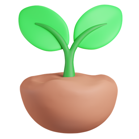 Planta  3D Icon