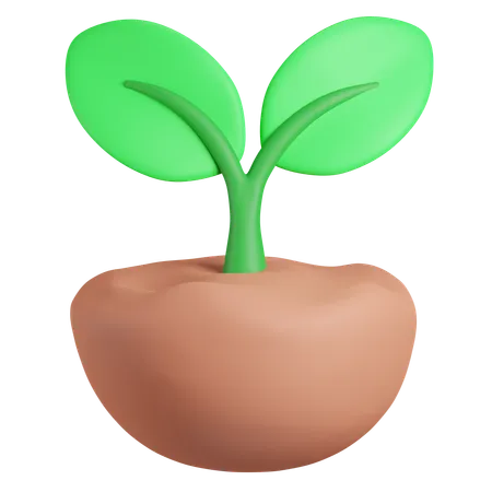 Planta  3D Icon