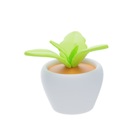 Planta  3D Icon