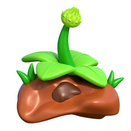 Planta  3D Icon