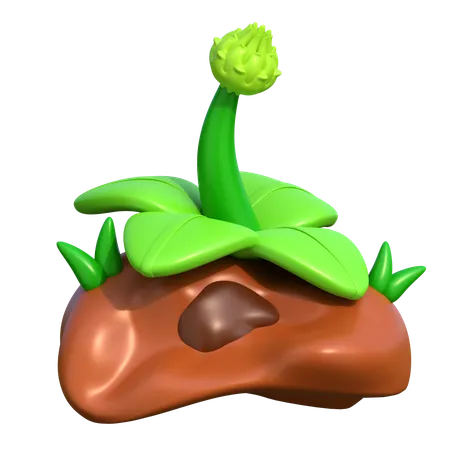 Planta  3D Icon