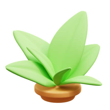 Plantar  3D Icon