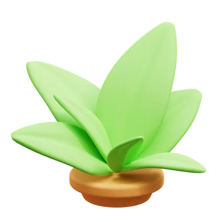 Planta  3D Icon