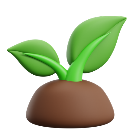 Planta  3D Icon