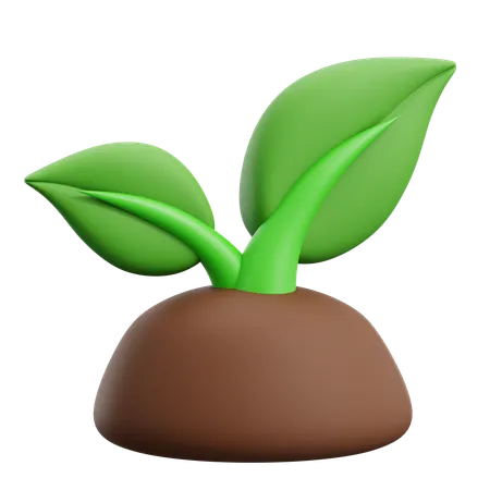 Planta  3D Icon