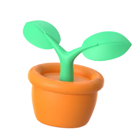 Planta  3D Icon