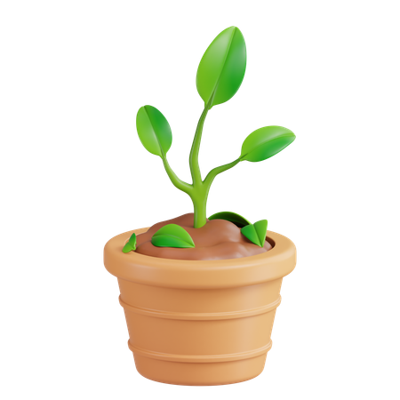 Planta  3D Icon