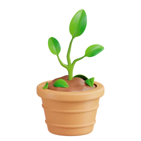 Planta  3D Icon