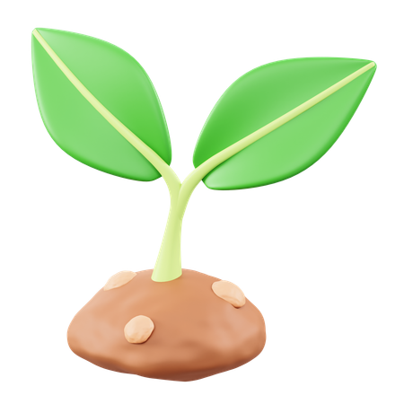 Planta  3D Icon