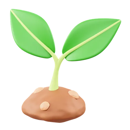 Planta  3D Icon