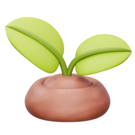Planta  3D Icon