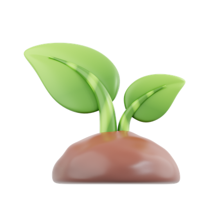 Planta  3D Icon