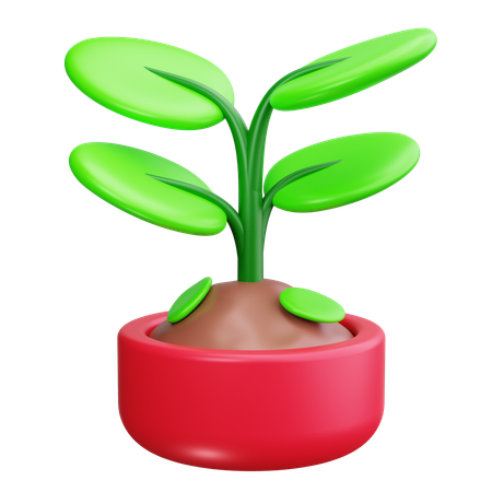 Plantar  3D Icon