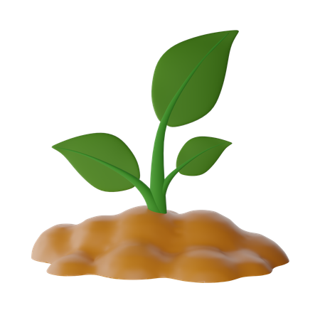 Planta  3D Icon