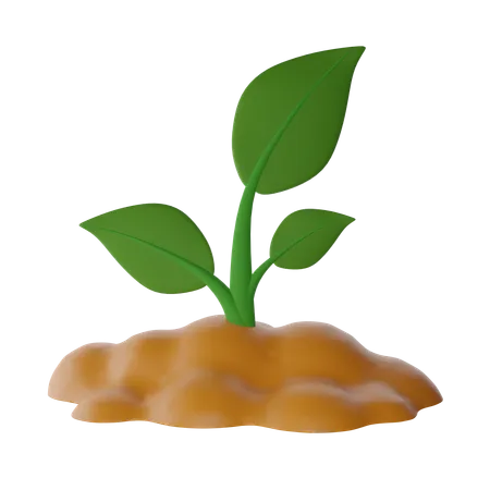 Planta  3D Icon