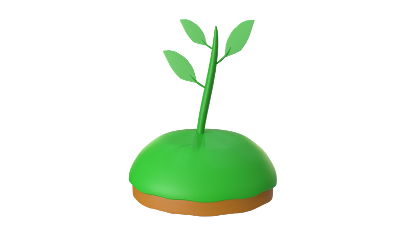 Planta  3D Icon