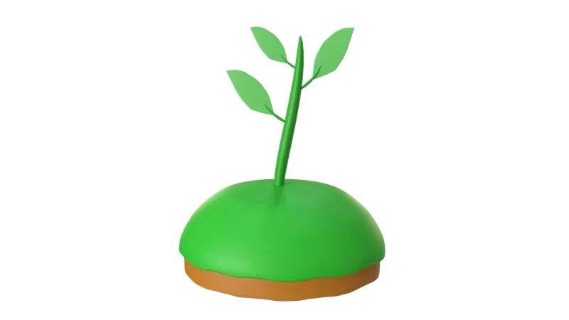 Planta  3D Icon