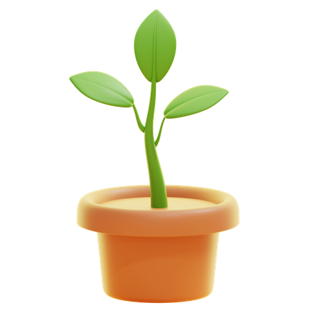 Plantar  3D Icon