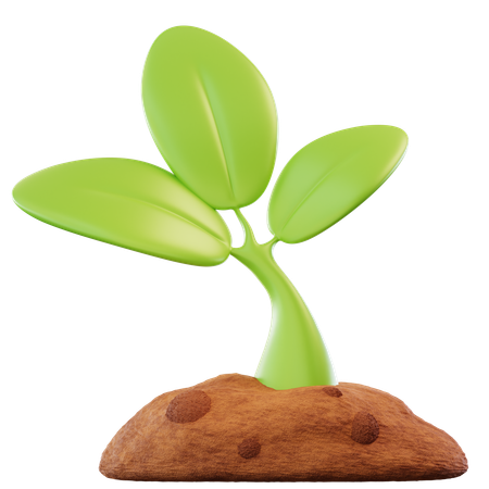 Plantar  3D Icon