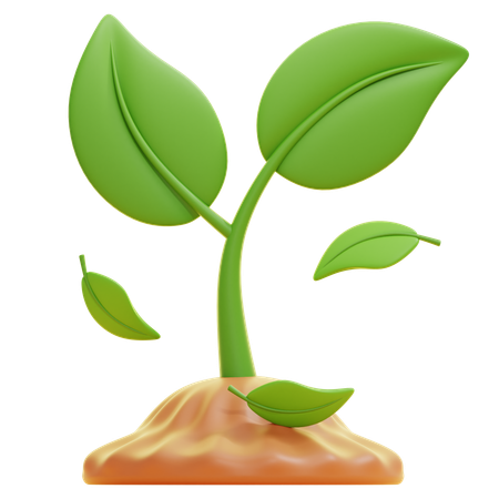 Plantar  3D Icon