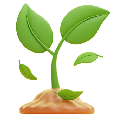Plantar  3D Icon