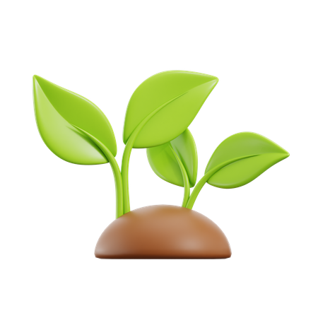 Plantar  3D Icon