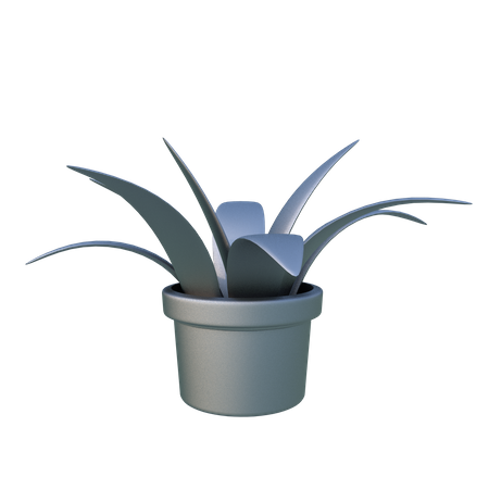 Planta  3D Illustration