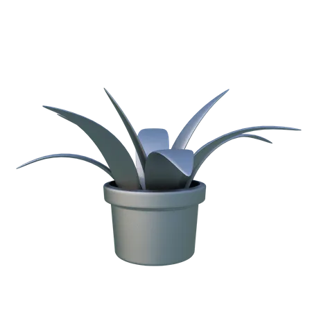 Planta  3D Illustration