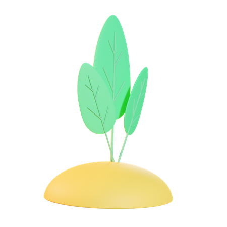 Planta  3D Icon