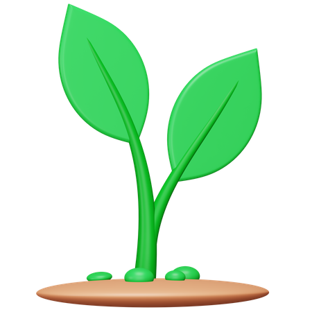 Planta  3D Icon