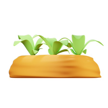 Plantar  3D Icon