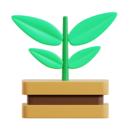 Planta  3D Icon