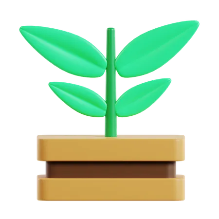 Planta  3D Icon