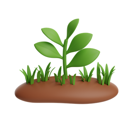 Planta  3D Icon