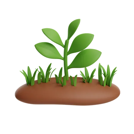 Planta  3D Icon