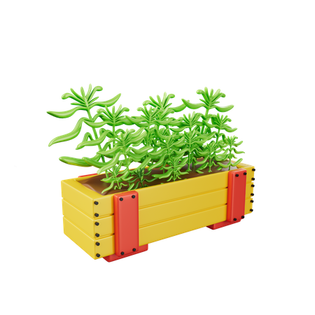 Planta  3D Icon