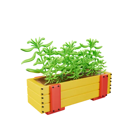 Planta  3D Icon