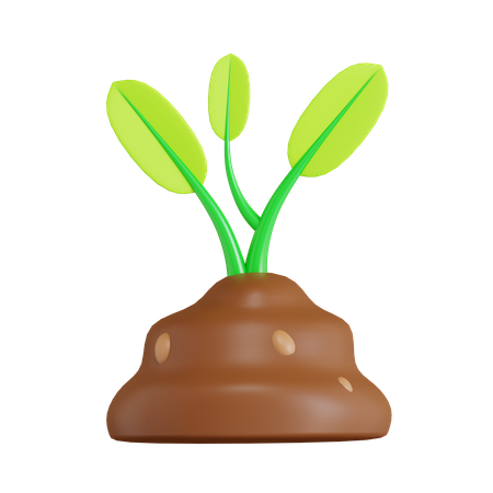 Planta  3D Icon