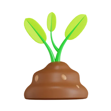 Planta  3D Icon