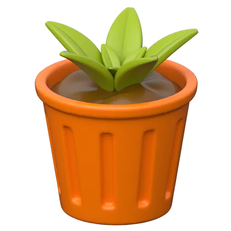 Planta  3D Icon