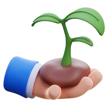 Planta  3D Icon