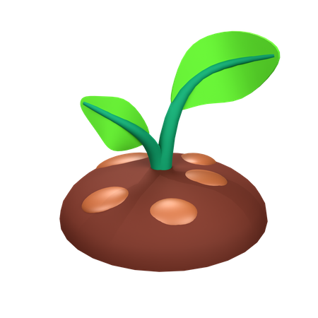 Planta  3D Icon