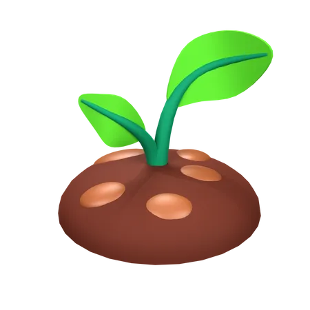 Planta  3D Icon